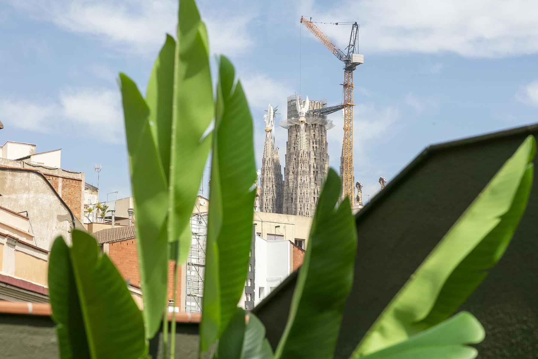Ola Living Consell De Cent Apartment Barcelona Ngoại thất bức ảnh